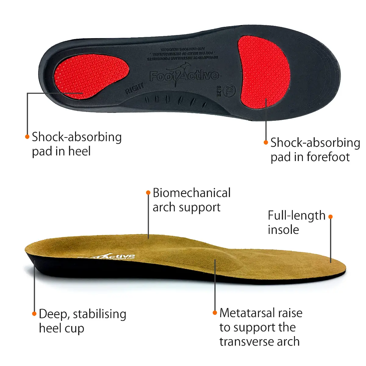 FootActive Metatarsalgia - Image 2